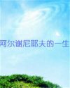 阿尔谢尼耶夫的一生