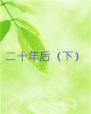 二十年后（下）