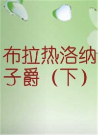 布拉热洛纳子爵（下）