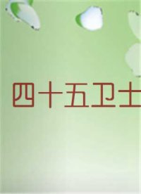 四十五卫士
