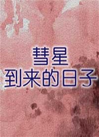 彗星到来的日子