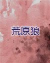 书名