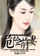 危险前妻