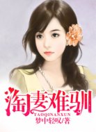 淘妻难驯