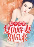 陆少私宠：复仇娇妻别乱来