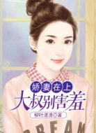 娇妻在上,大叔别害羞