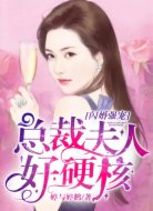 闪婚强宠:总裁夫人好硬核