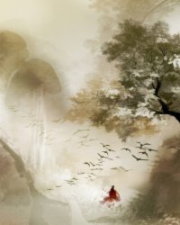 梦不老