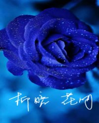 柳暗,花明