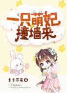 一只萌妃撞墙来