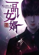 一品女婿