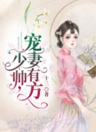 少帅,宠妻有方