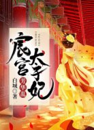 芳华乱:宸宫太子妃