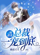 二嫁甜妻:总裁一宠到底
