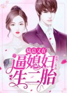 陆总又在逼媳妇生二胎