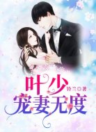 葉少寵妻無(wú)度