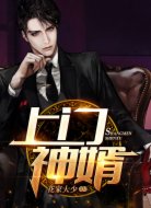 上门神婿