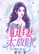 裴少,追妻太放肆!