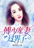 傅少宠妻，过界了！