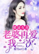 婚途有喜:老婆再爱我一次