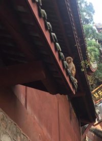 风萧萧