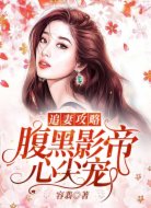 追妻攻略:腹黑影帝心尖宠