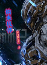 纳米机体