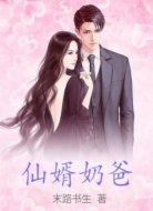 仙婿奶爸