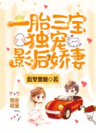一胎三宝：独宠影后娇妻