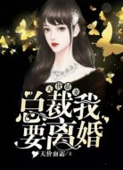 天价娇妻:总裁我要离婚
