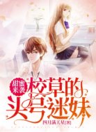 甜蜜来袭：校草的头号迷妹