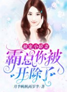独宠小娇妻:霸总,你被开除了
