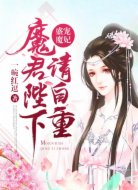 盛宠魔妃:魔君陛下请自重