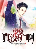 我家真没矿啊