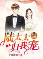 养妻成瘾:陆太太归我宠