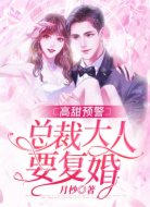 高甜预警:总裁大人要复婚