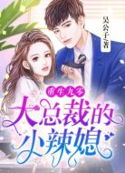 重生九零:大總裁的小辣媳