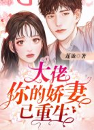 大佬你的嬌妻已重生