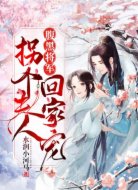 腹黑將軍：拐個夫人回家寵