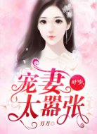叶少，宠妻太嚣张