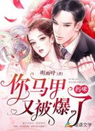 妈咪,你马甲又被爆了