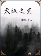 天纵之资