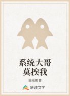 系统大哥莫挨我