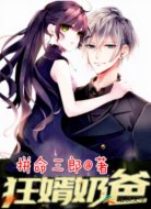 狂婿奶爸