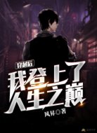 穿越后我登上了人生之巅