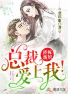 替嫁新娘,总裁爱上我!