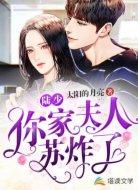 陆少,你家夫人苏炸了