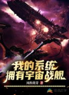 我的系统拥有宇宙战舰