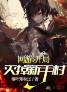 网游:开局灭掉新手村