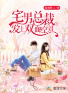 宅男总裁爱上双面空姐